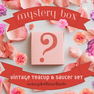 Vintage Teacup Mystery Box Set Self Mom Grandma Surprise Gifts Home Décor Cute Surprise