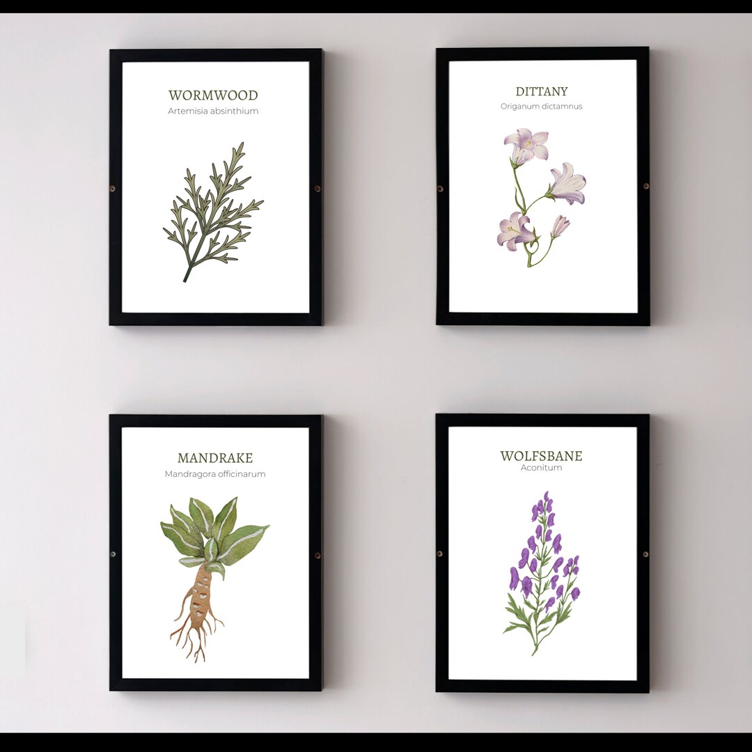 Herbology Art Prints, Printable Kitchen Plant Herb Art - Etsy