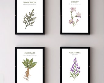 Impresiones de arte de herbología, arte de hierbas de plantas de cocina imprimibles