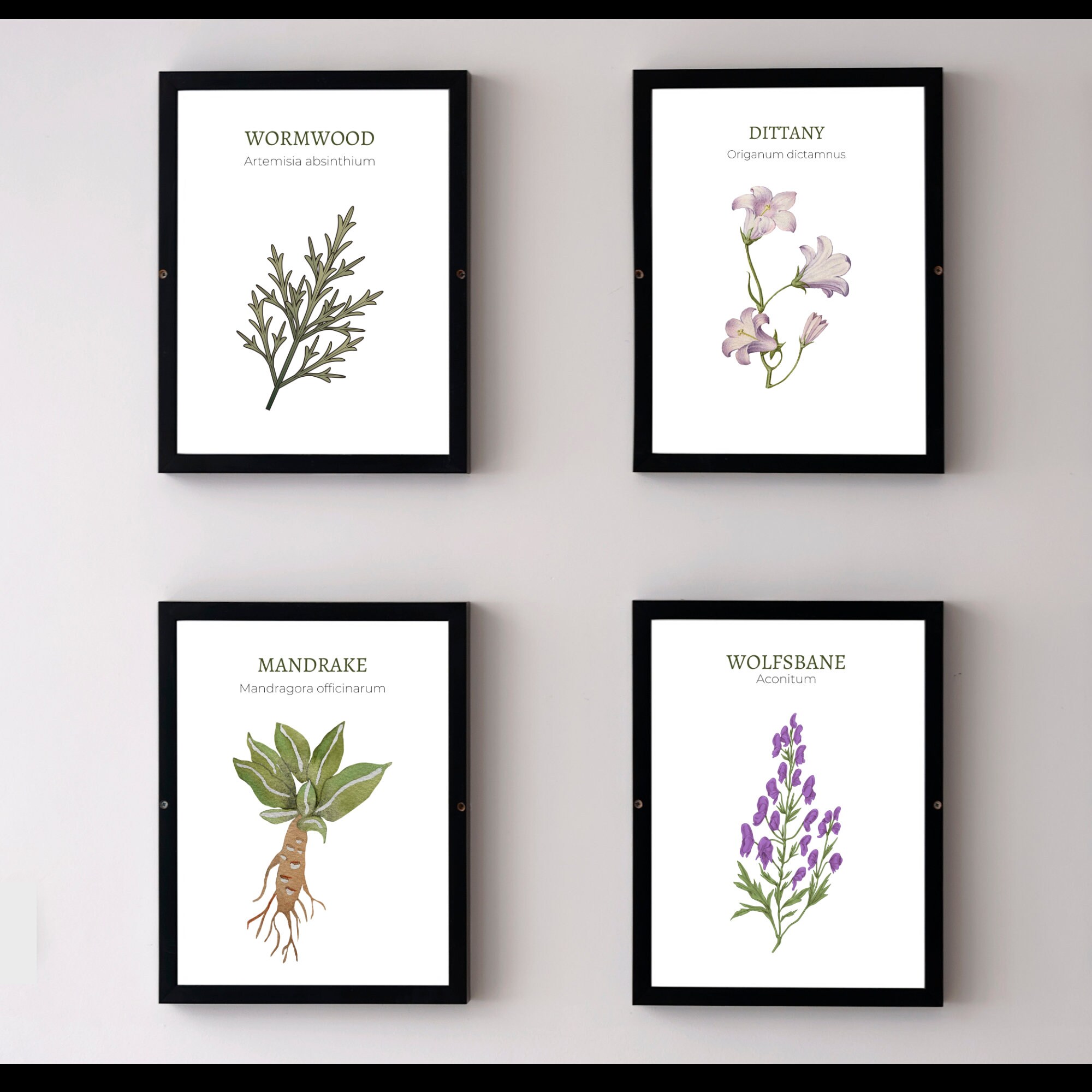 Herbology Art Prints, Printable Kitchen Plant Herb Art - Etsy