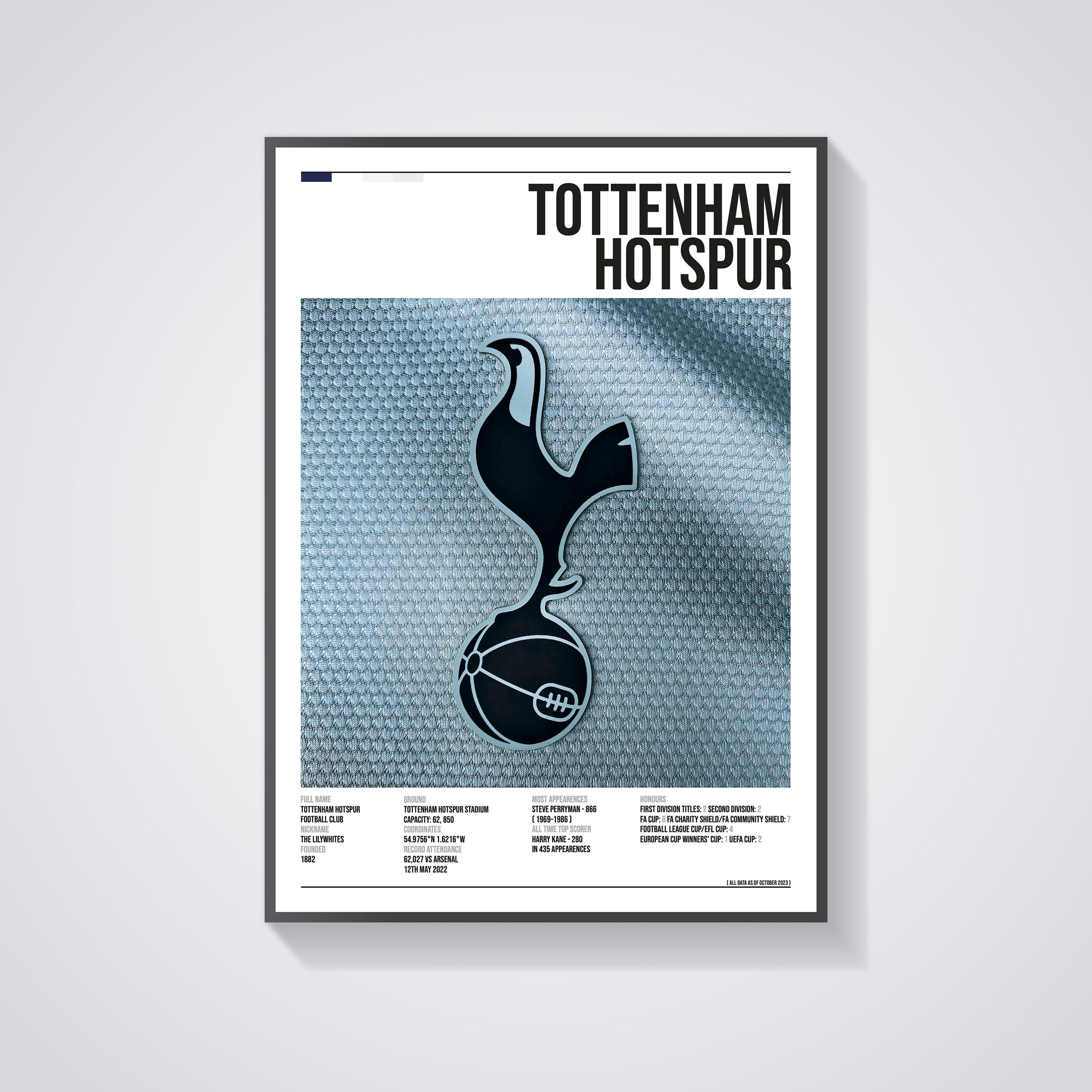 Poster Tottenham Hotspur FC - Team Photo 14/15, Wall Art, Gifts &  Merchandise