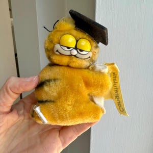 Garfield Graduation - Etsy