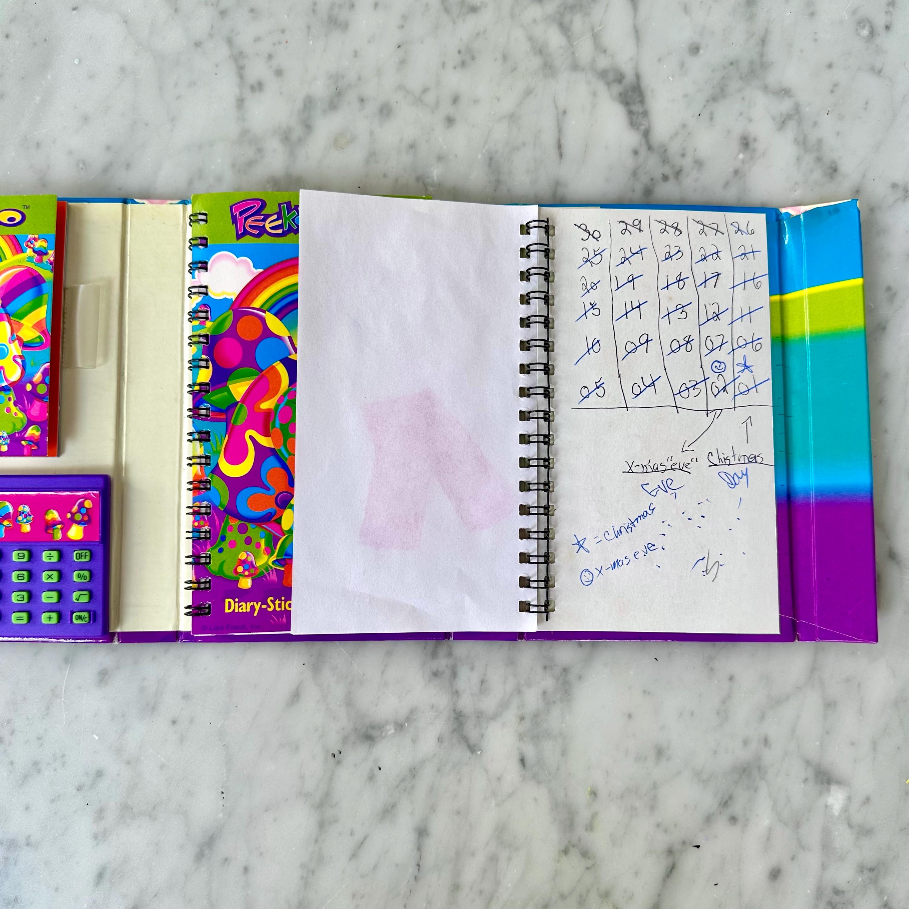 Vintage Lisa Frank Peekaboo Turtle Planner With Calculator READ - Etsy