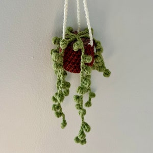 Crochet Hanging Plant