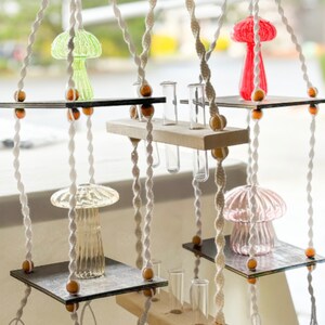 May include: A macrame plant hanger with three glass mushroom-shaped vases and five glass test tubes. The hanger is made of white cord and has wooden shelves.