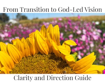 Del camino de la transición a una visión guiada por Dios: Diario de reflexión cristiana, paquete de planificación de visión guiada por las Escrituras (descarga digital)