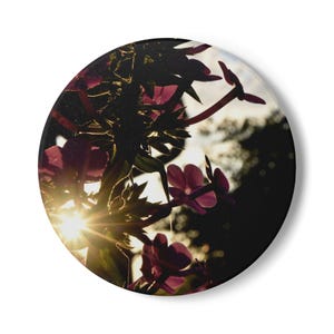 Botanical Ceramic Coaster: Sunlight Flower Design, Cork Back