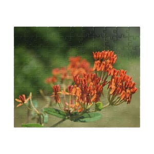 A  challenging floral puzzle