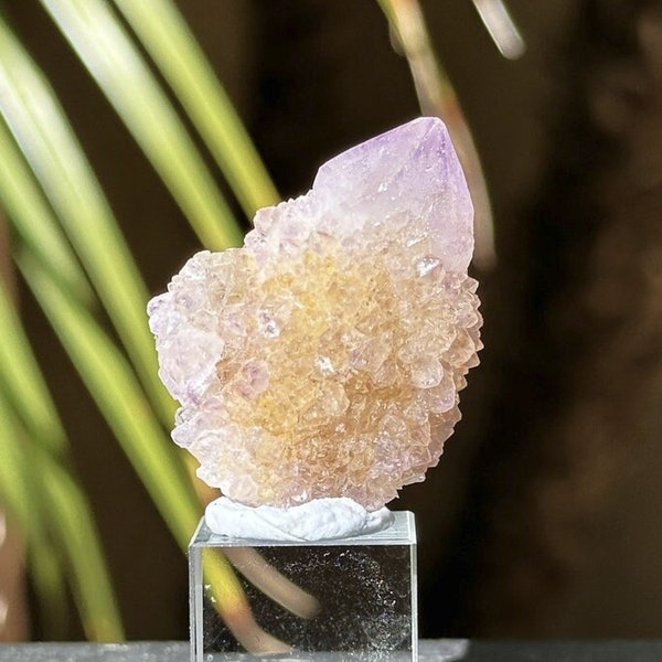 Spirit Quartz Clusters / Cactus Quartz / South Africa / Minerals / Specimens / Reiki healing / Unique Gifts