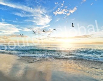 Waves