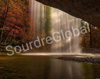 Fall in Forest 2