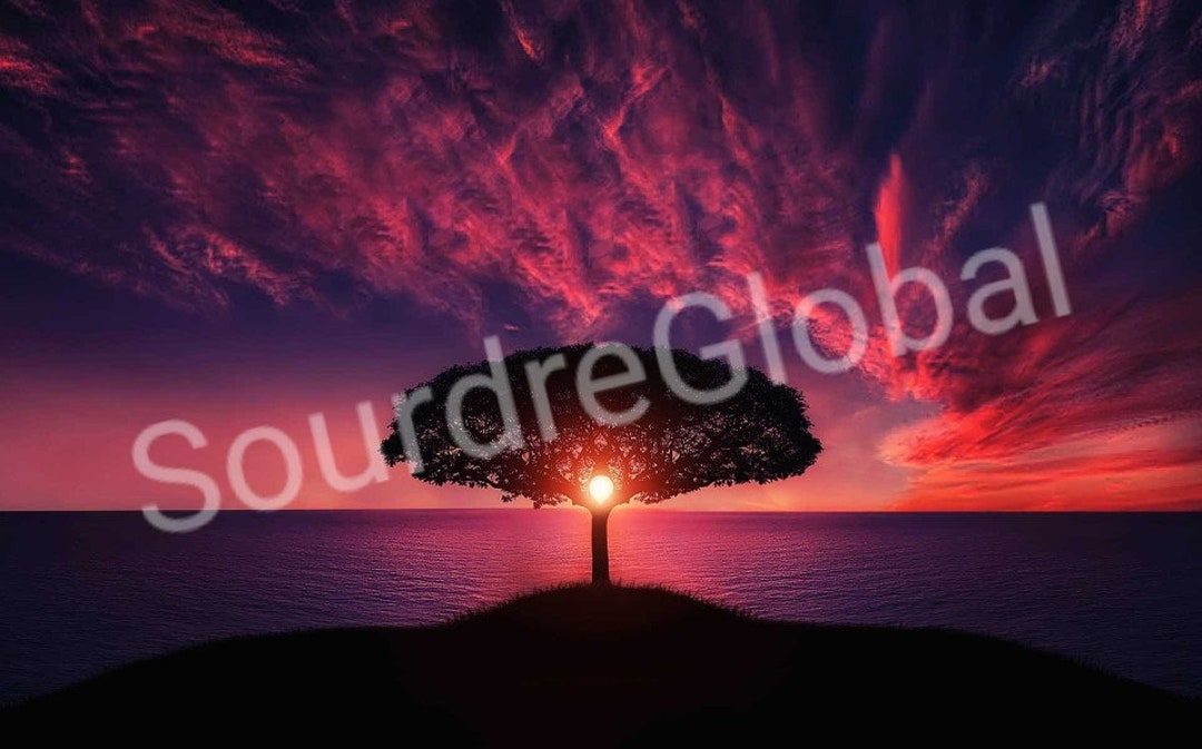 Sunset Tree - Etsy