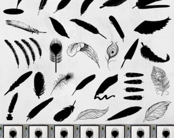 jay wing feathers, natural color: blue striped - blue jay feather, fly tying, earrings