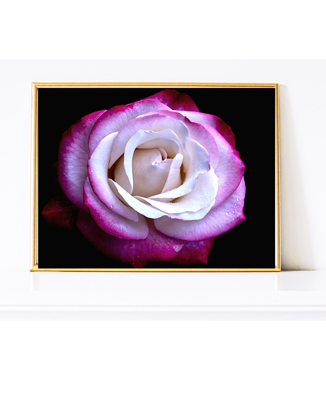 Pink Rose Digital Download Print, Floral Wall Art, Botanical Print ...