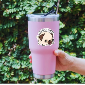 May include: A pink insulated tumbler with a silver lid and a black straw. A sticker of a cartoon pug with the text "TRYING MY BEST" is on the tumbler. The tumbler is held by a person's hand against a background of green foliage.