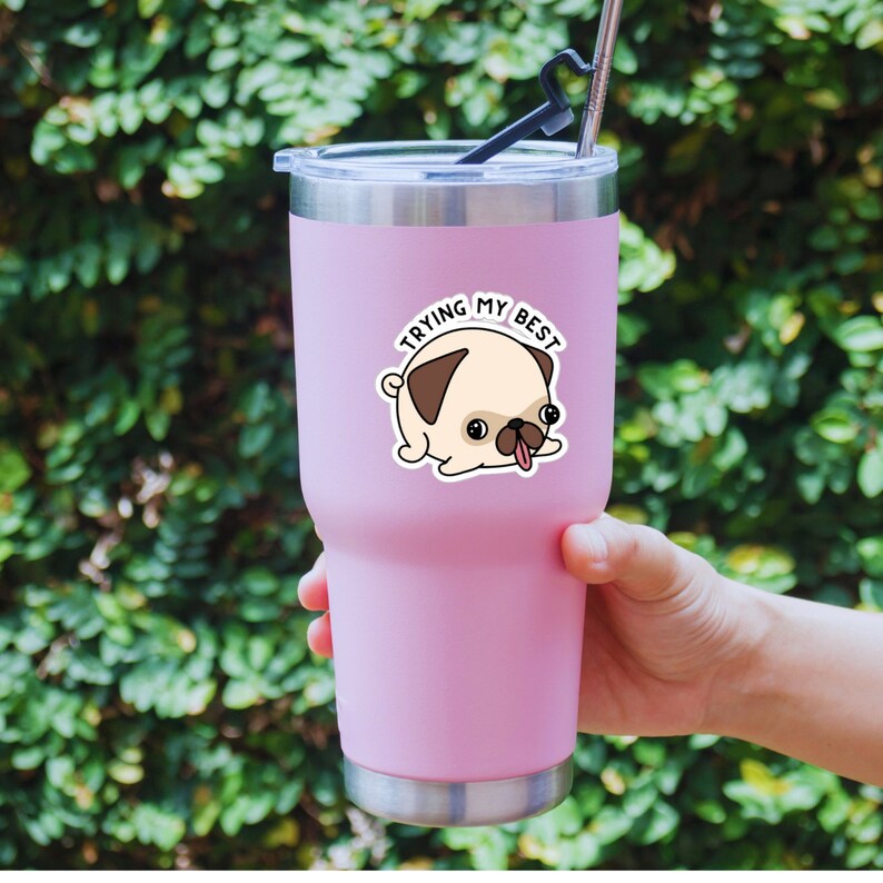May include: A pink insulated tumbler with a silver lid and a black straw. A sticker of a cartoon pug with the text "TRYING MY BEST" is on the tumbler. The tumbler is held by a person's hand against a background of green foliage.