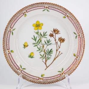 Royal Copenhagen Flora Danica No.20/3573 porcelain plate