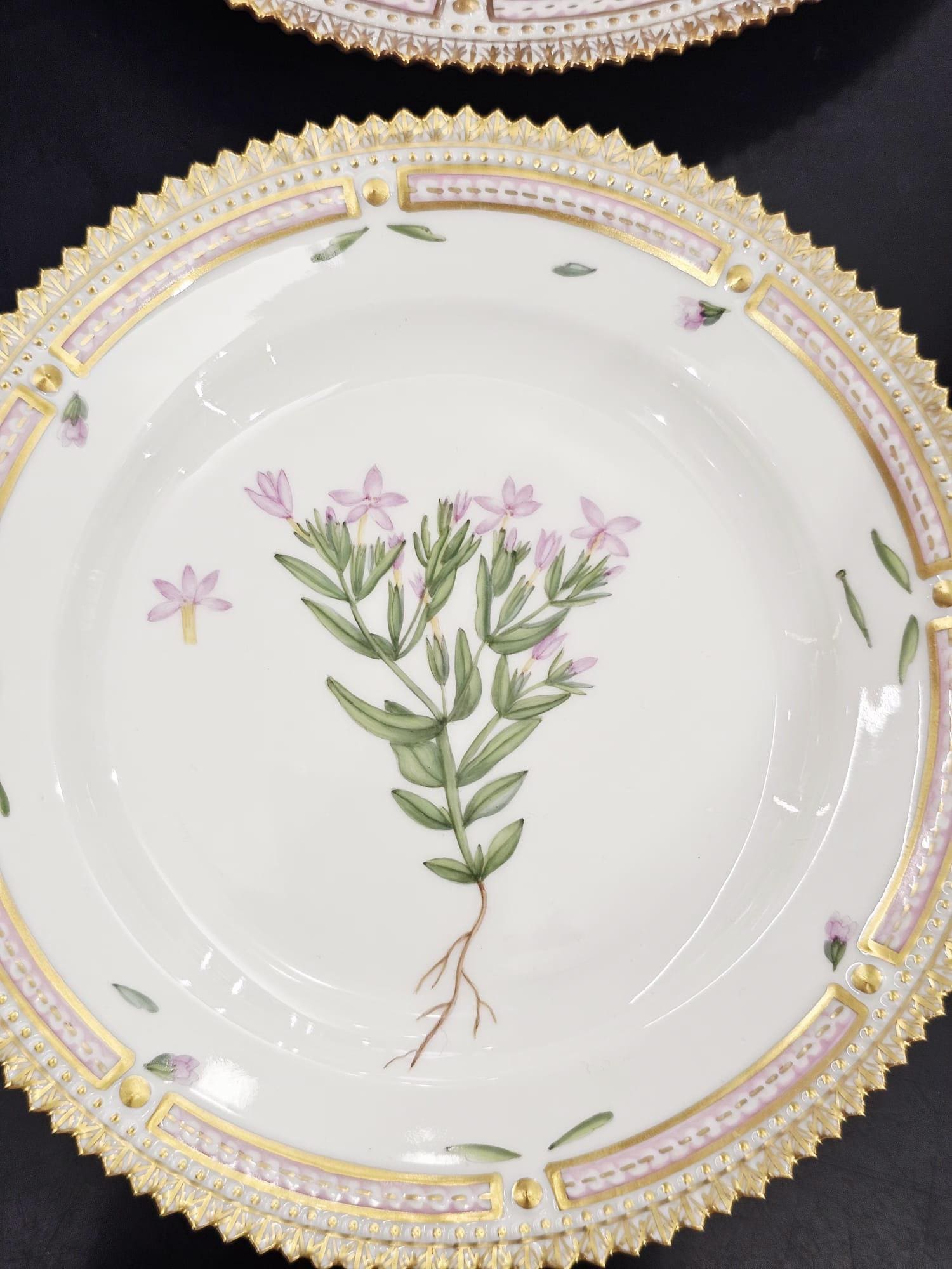 Royal Copenhagen Flora Danica Set - Etsy