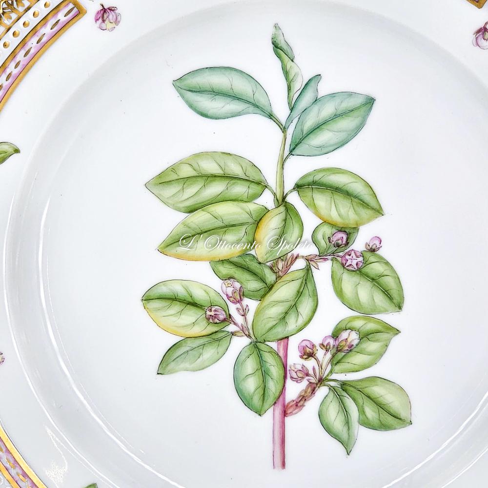 【美品】ロイヤルコペンハーゲン　フローラダニカ　オーバル　プレート　皿 フローラダニカ|ロイヤル コペンハーゲン 公式オンラインストア