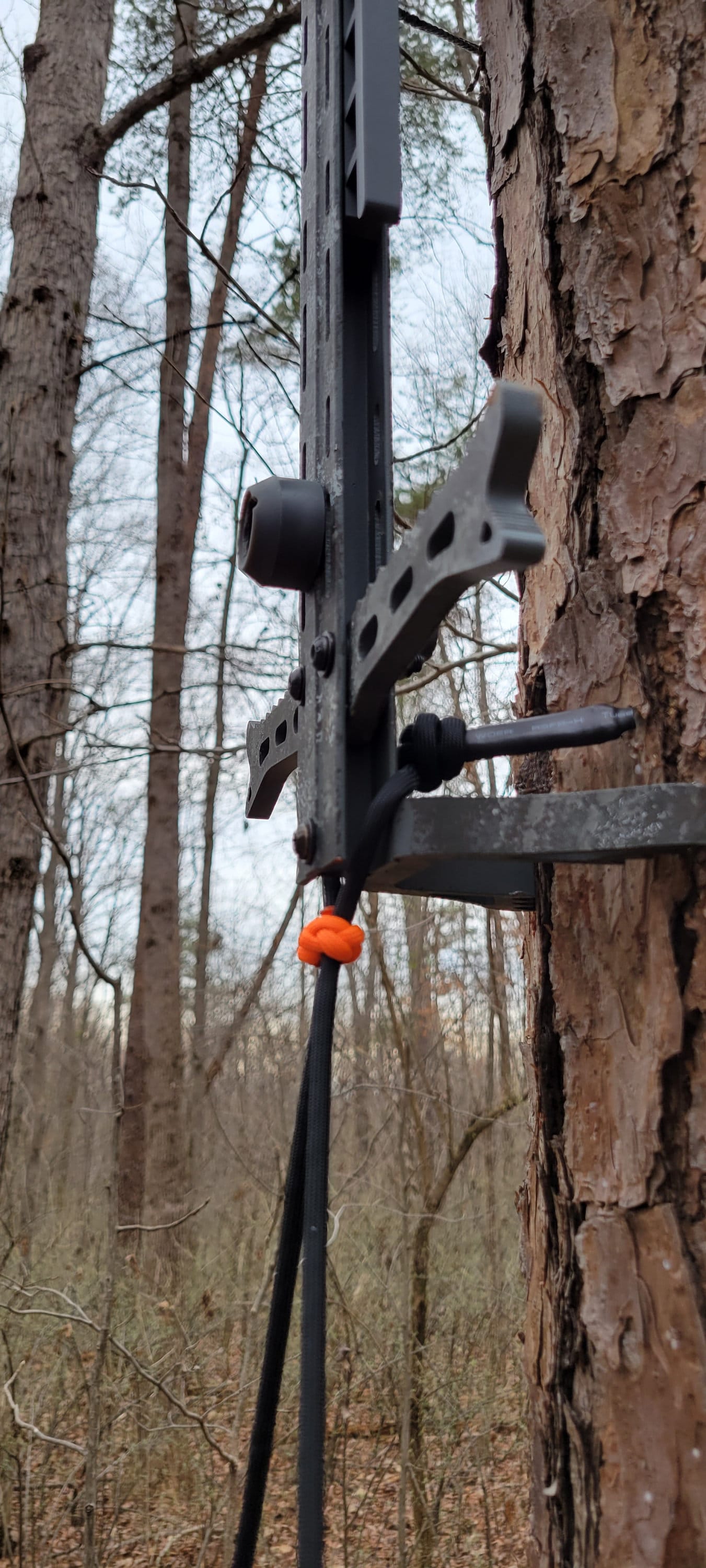 Tree Saddle Hunting: Best New Climbing Aider Options