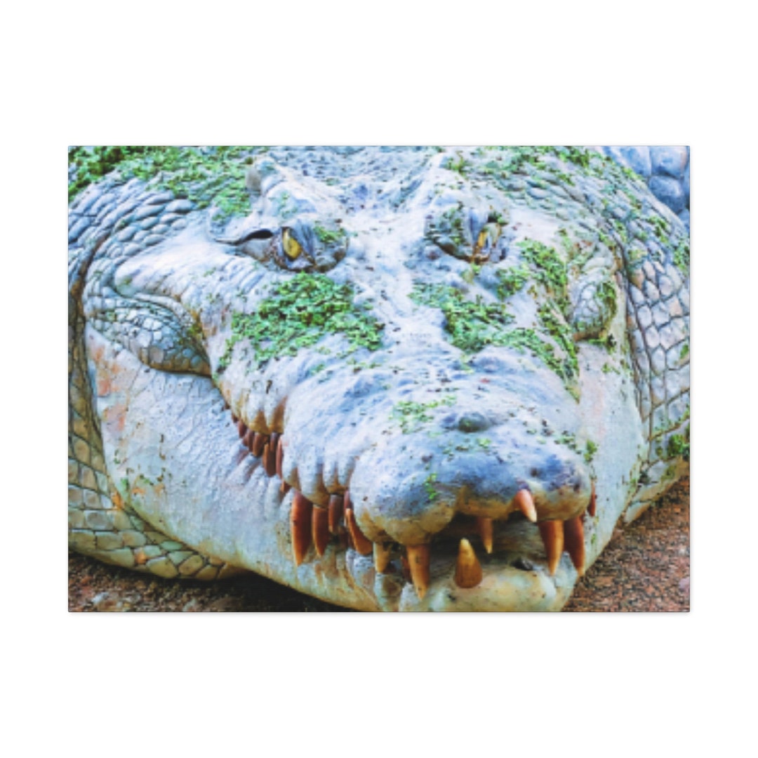 Crocodile Print,crocodile Wall Print,crocodile Decor,crocodile Print Wall Art,alligator Home