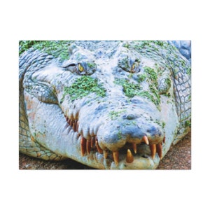 Crocodile Print,Crocodile Wall Print,Crocodile Decor,Crocodile Print Wall Art,Alligator Home Design Art,Crocodile Canvas,Crocodile Print Art
