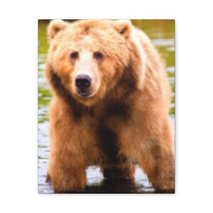 Grizzly Bear Canvas Print,Bear Canvas Print,Grizzly Bear Canvas Wall Decor,Grizzly Bear Canvas,Grizzly Bear in Stream Canvas