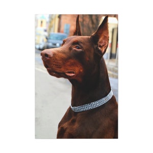Doberman Canvas Print,Doberman Pinscher Print,Doberman Wall Art,Doberman Dog Canvas Print,Doberman Canvas Wall Decor,Doberman Canvas Picture