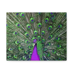 Peacock Feathers Canvas Print,Peacock Canvas Wall Decor, Feather Art, Peacock Tail Art, Peacock Feather Canvas,Peacock Wall Decor