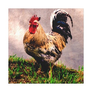 Beautiful Rooster Canvas Print,Rooster Canvas Wall Art,Farmhouse Decor,Rooster Canvas Print,Rooster Canvas Wall Hanging,Rooster Decor