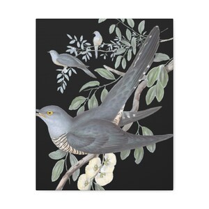 Cuckoo Bird Canvas Print,Bird Print,Bird Wall Art,Bird Print,Bird Canvas Wall Art,Bird Wall Art Print,Cuckoo Bird,Cuckoo Bird Wall Print