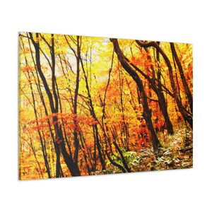 Autumn Fall Trees Canvas Print,Forest Landscape Tree Wall Art,Forest Canvas Wall Art,Forest Landscape Canvas Print,Nature Decor,Forest Art