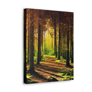 Path in the Forest Canvas Print,Forest Path Canvas Print,Forest Path to Where,Forest Landscape Canvas Print,Office Wall Art,Home Wall Art