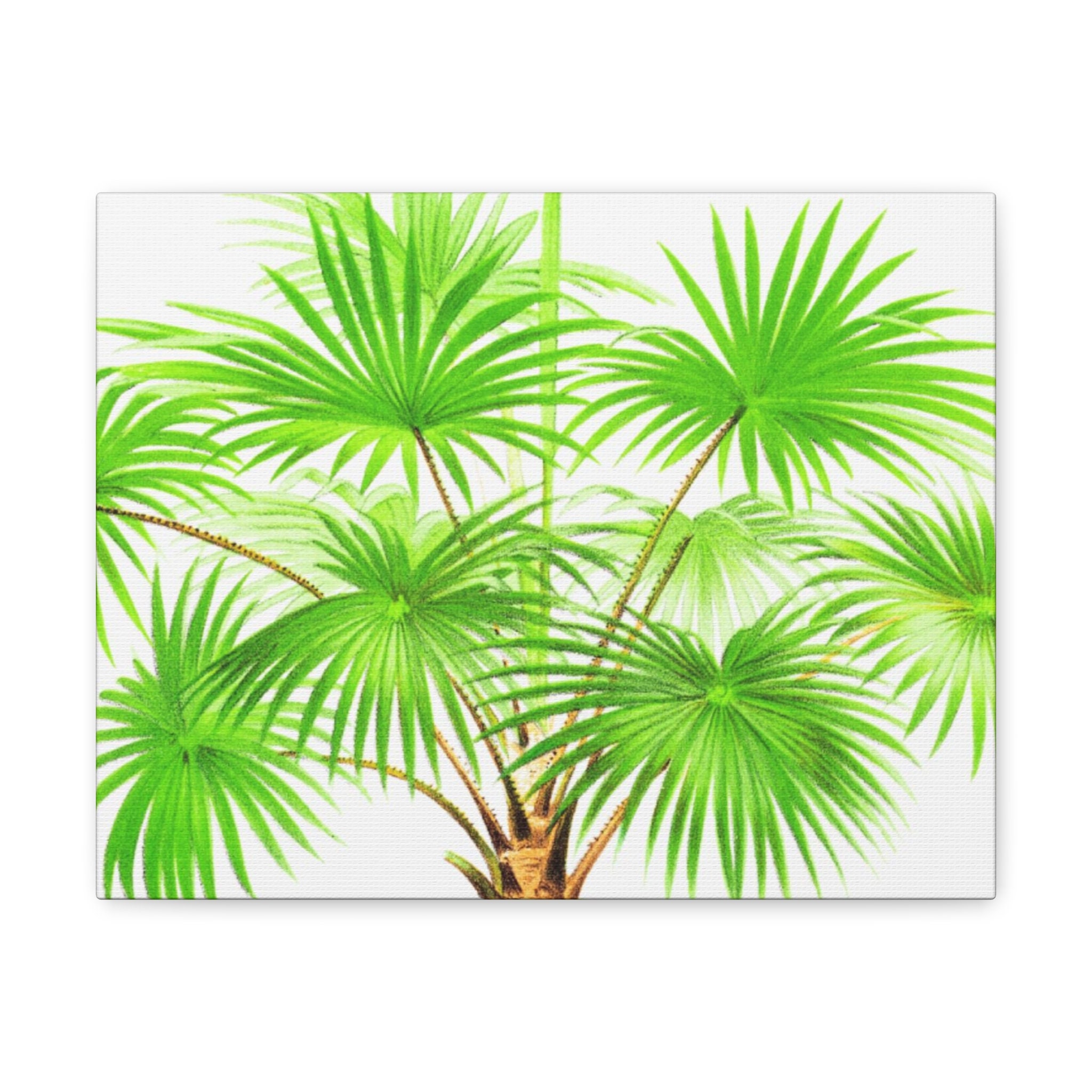 Palm Tree Canvas Print,palm Tree Wall Art,office Wall Art,home Wall Art
