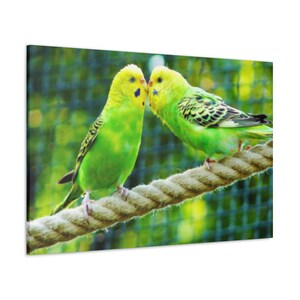 Schöner Blau Grün Sittich Leinwand Druck, Sittich Wand Kunst, Tropisches Vogel Leinwand, Tropisches Wohn Dekor, Sittich Paar Leinwand Druck,