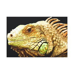 Iguana Print Canvas,Lizard Painting on Canvas,Iguanas Decor Wall,Iguanas Modern Home Decor,Iguana Picture Print,Iguana Designer Wall