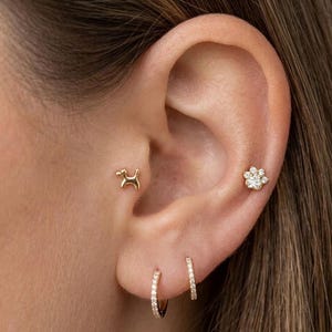 Può includere: Primo piano di un orecchio adornato da diversi orecchini d'oro. È visibile un piccolo orecchino a forma di cane, un orecchino a forma di fiore e due piccoli orecchini a cerchio con gemme incastonate. Gli orecchini sono in risalto.