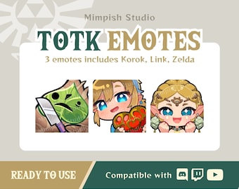Link Zelda Emote / Tears of the Kingdom TOTK BOTW emote