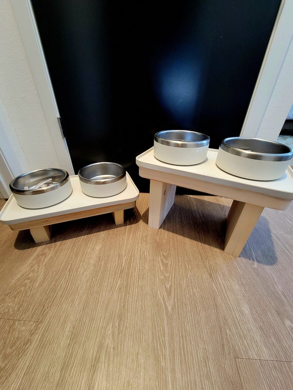 bergan dog bowls