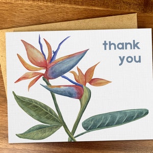 Cartão de agradecimento Birds of Paradise, Lindas notas de agradecimento feitas à mão com flores em aquarela, Cartões florais minimalistas, Conjunto de papelaria de agradecimento em branco