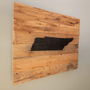 Concealment Wall Cabinet/ Decor