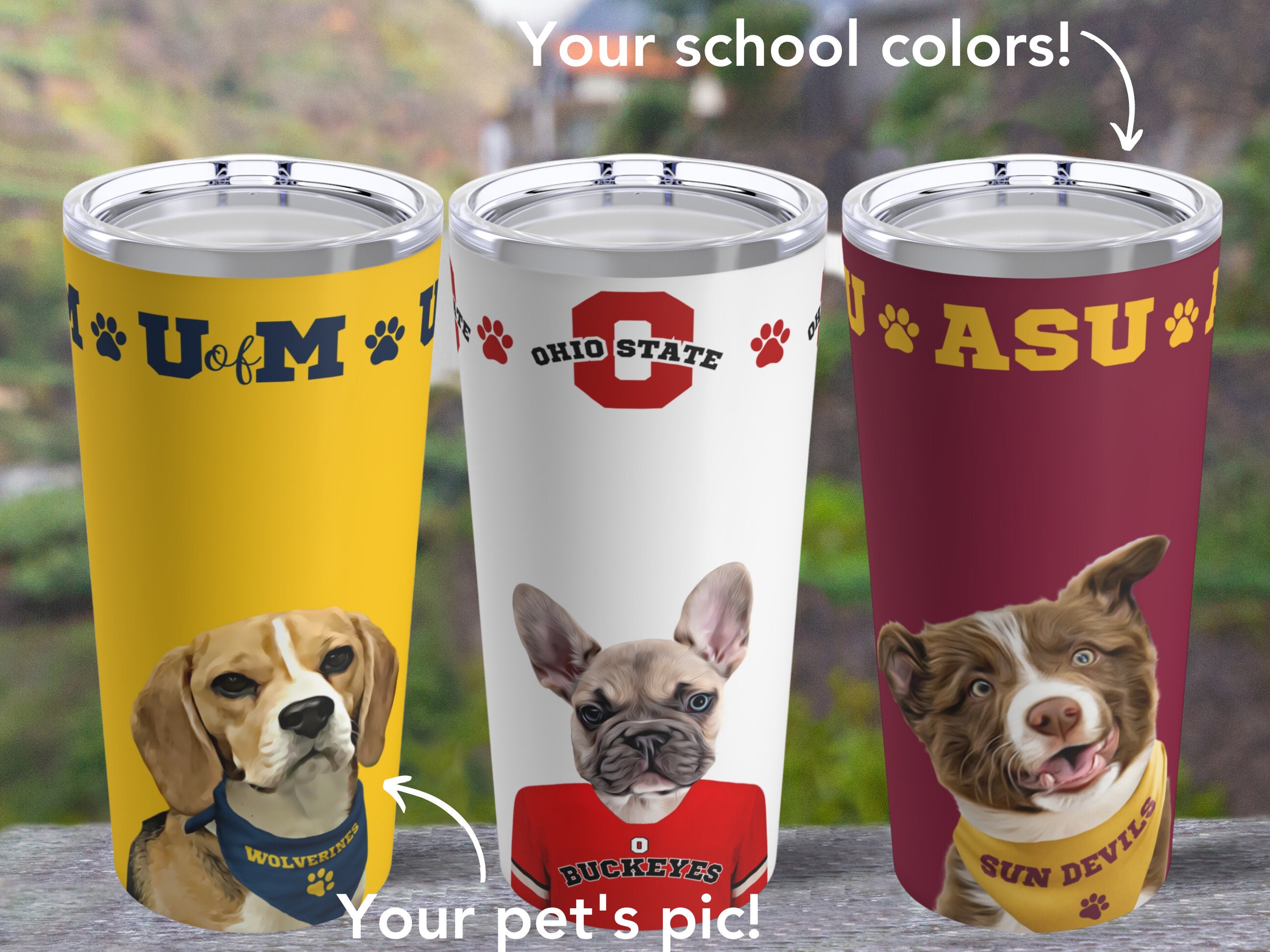 Collegiate tall tumbler - 20 ounces - available for any school
