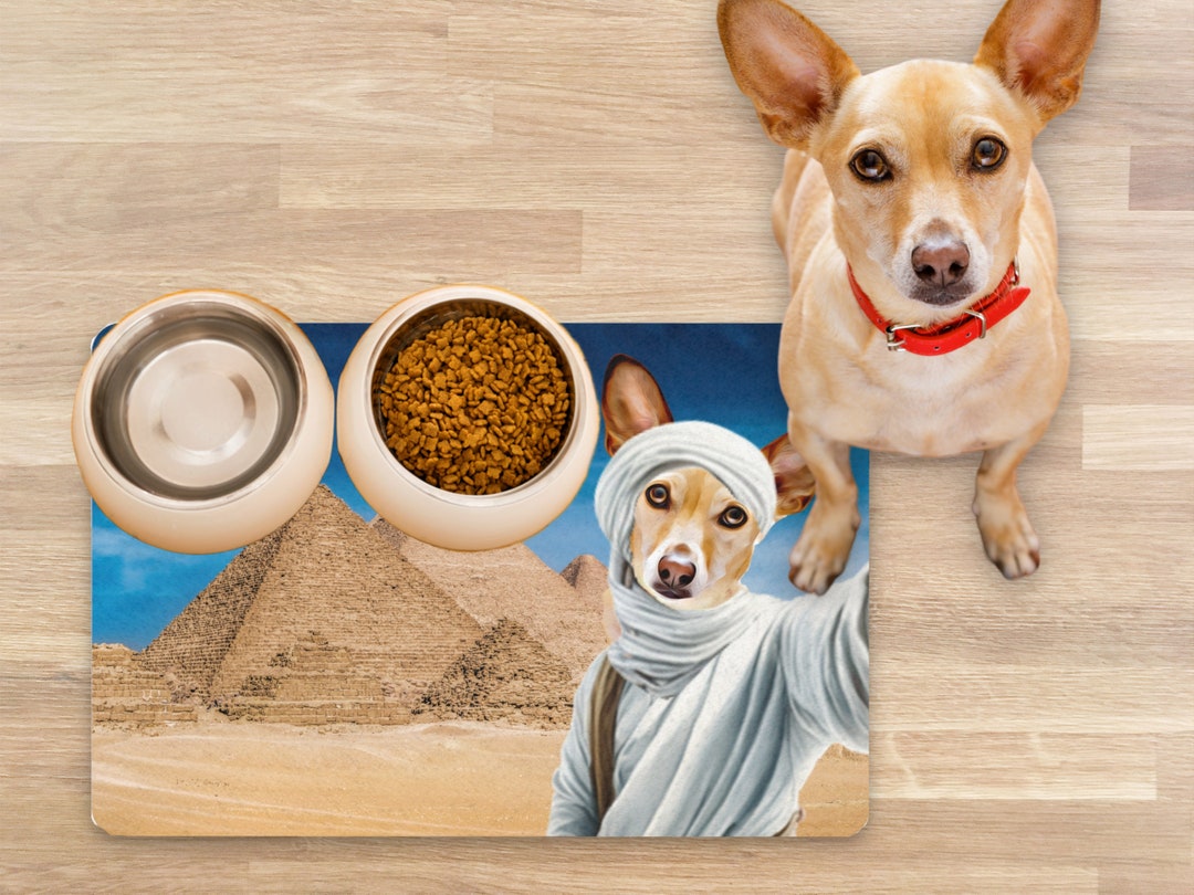 personalized-dog-mats-using-pet-photo-personalized-dog-food-mat