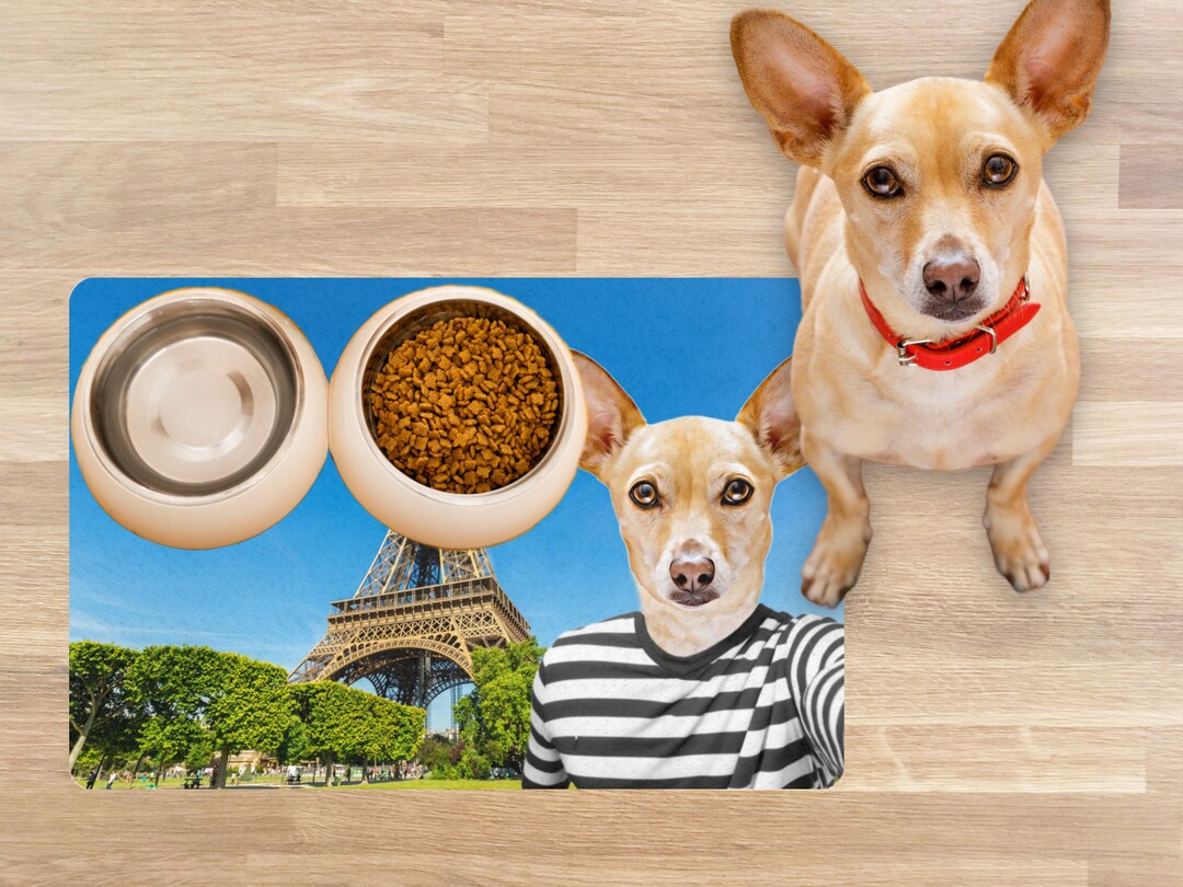 Personalized Dog Mats Using Pet Photo Personalized Dog Food Mat