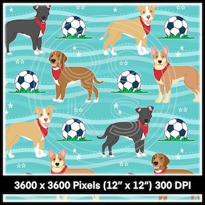 Puede incluir: Patrón repetitivo con varias razas de perros con pañuelos rojos, balones de fútbol y estrellas sobre un fondo turquesa. Las dimensiones de la imagen son 30,48 cm x 30,48 cm a 300 DPI.