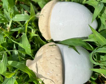 Pode incluir: Dois ornamentos de cerâmica em forma de bolota, com um esmalte branco e uma base texturizada marrom. As bolotas estão sobre um leito de grama verde.