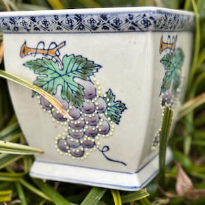 May include: A square, off-white ceramic planter with a blue and white patterned rim. The planter features a painted design of purple grapes, green leaves, and yellow accents. The planter is set against a backdrop of green foliage.