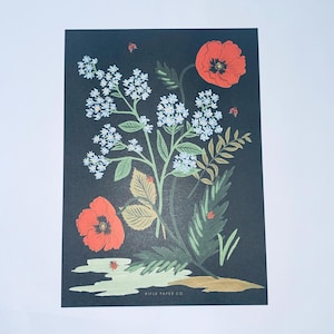 Tarjetas planas/escritas a mano de 5 x 7 de Rifle Paper Co.