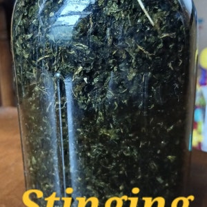 Stinging Nettle Tincture
