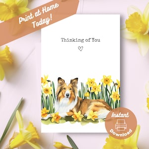 Biglietto stampabile Collie Thinking of You, download immediato Stampa a casa Regalo di narcisi gialli, Cane Collie a pelo lungo Fiori Acquerello Regalo